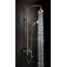Душевая стойка Lemark Brava с поворотным изливом,ручным душем и верхней душевой лейкой, золото